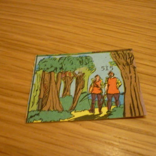 Robin Hood Flebotomos 1960s paper card used #515