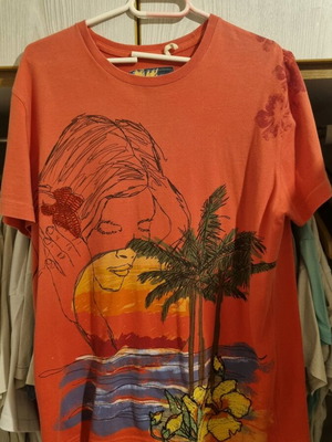 μπλουζα desigual