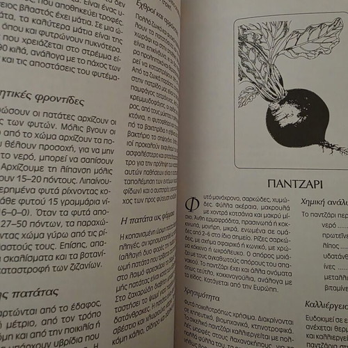Modern Vegetable Growing book by Kosmas P. Paraskevopoulos