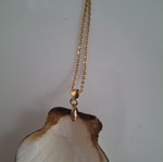 Necklace like new with shell pendant