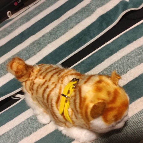 Interactive plush cat with yellow collar, like new