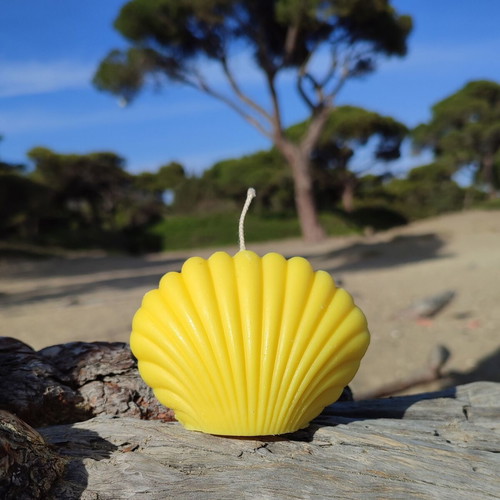 Aromatic Candle in Shell Shape new, strawberry scent