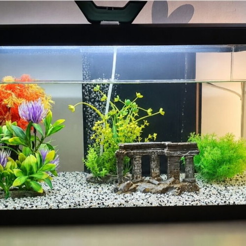 Ciano Aqua 60 Aquarium 58 liters like new with air pump and decorative plants
