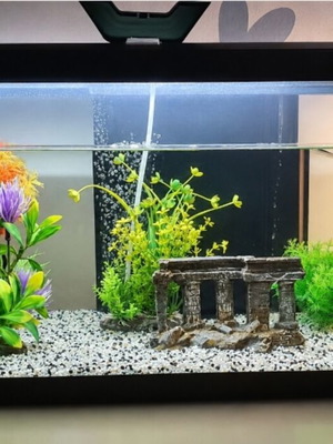 Ciano Aqua 60 Aquarium 58 liters like new with air pump and decorative plants