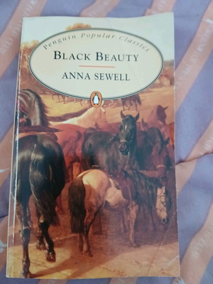 Black Beauty book like new, English