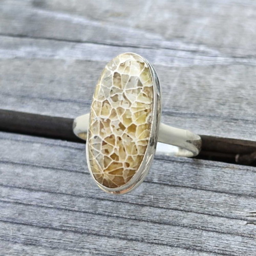 Silver ring with fossilized dinosaur bone new