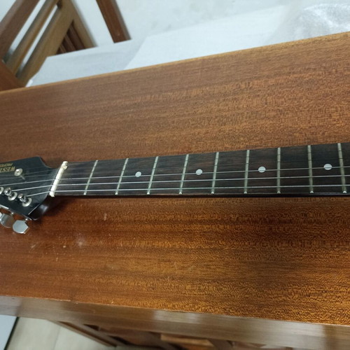 Westsound Professional electric guitar with case
