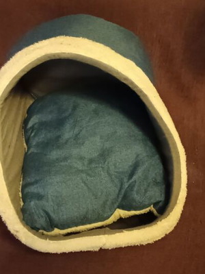 Cat or Dog Bed like new with removable cushion