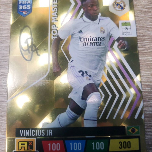 Panini collectible football card new