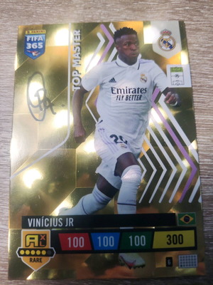Panini collectible football card new