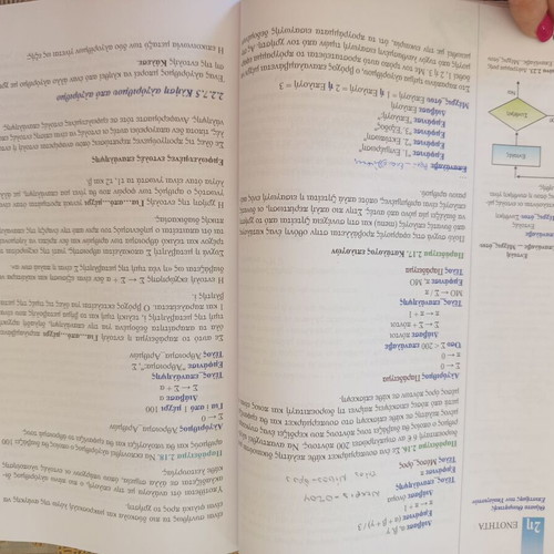 Introduction to Computer Science Principles textbook used, 2nd Grade Lyceum