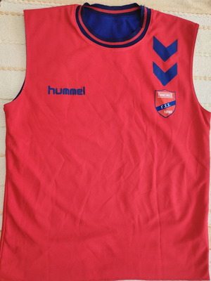 Hummel Πανιώνιος Γ.Σ.Σ. αμάνικη φανέλα μπάσκετ σε κόκκινο