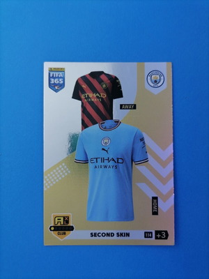 Second skin Manchester City card like new