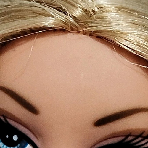 Bratz Pampered Petz Cloe used, incomplete with flaws
