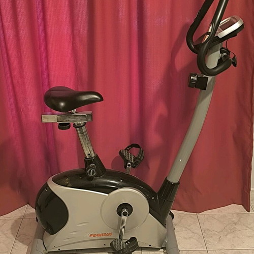 Pegasus exercise bike like new with magnetic resistance and LCD screen