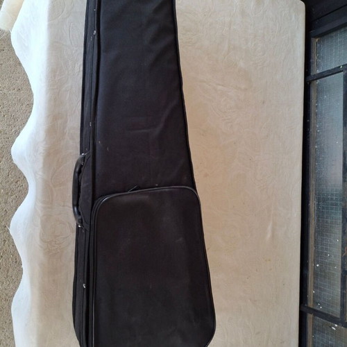 Violin case rectangular and mandolin gig bag used