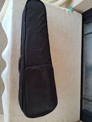 Violin case rectangular and mandolin gig bag used