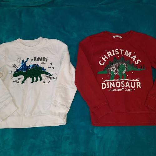 Pack of padded dinosaur sequin sweatshirts H&M like new