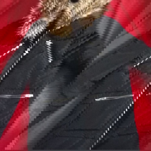 Шушляково яке