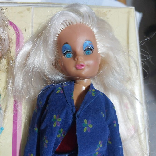 Bibibo dolls and wardrobe used, set