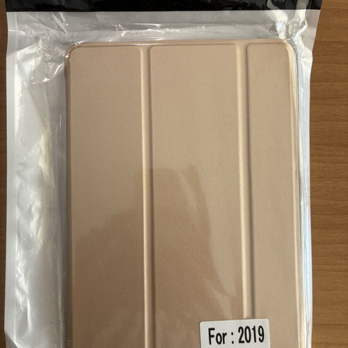 iPad Mini 5 case