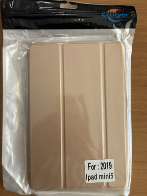 iPad Mini 5 case