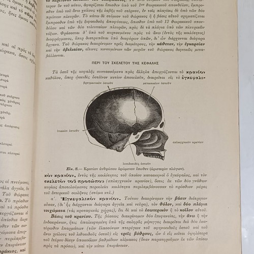 Anatomy of Man used, 1914, by N.P. Michalakeas