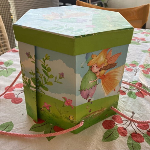 Empty polygon-shaped box new with fairy print