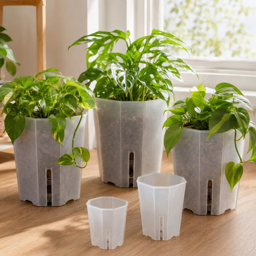 Transparent hard flowerpot in 5 sizes XL 15cm new