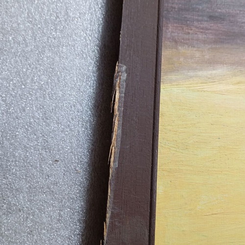 Painting "Seagull at Sunset" used, acrylic on canvas