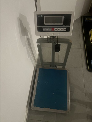 Vector professional scale