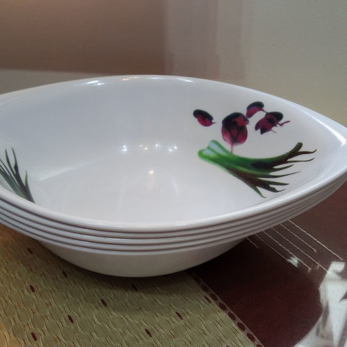 Plastic salad bowls, set of 5