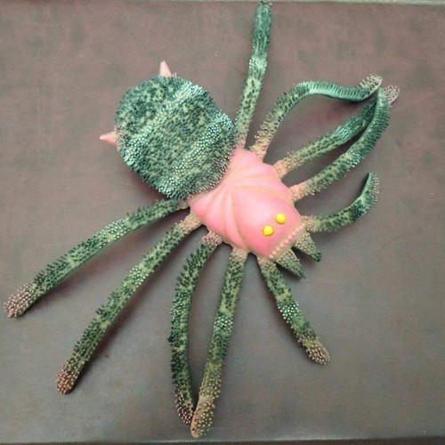 Spider toy like new