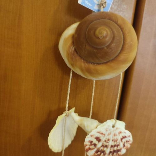 Summer wind chime with seashells new
