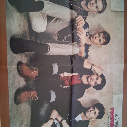Taylor Swift The Vamps giant poster, new