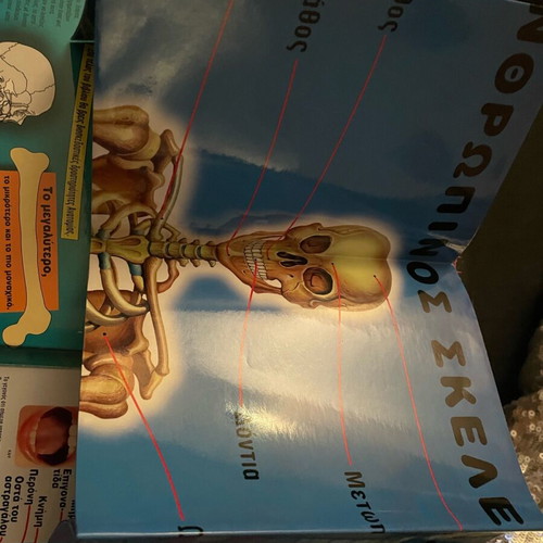 Book To Soma Mas by Gagnone Michel 7+ new hardcover