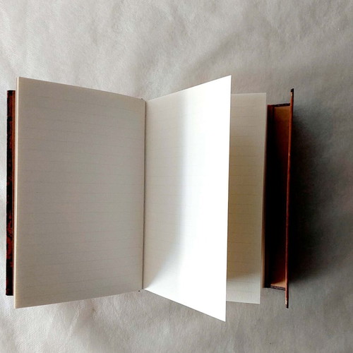 Paperblanks notebook unused with Rembrandt design