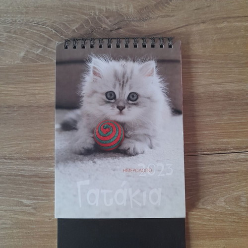 Calendar 2023 "Kittens" new, size 12x17cm