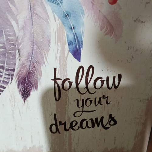 Dreamcatcher decorative art print on wooden base 25×40 cm like new