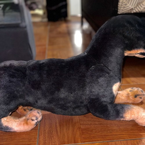 Rottweiler Plush Dog XXL with Flexible Frame like new