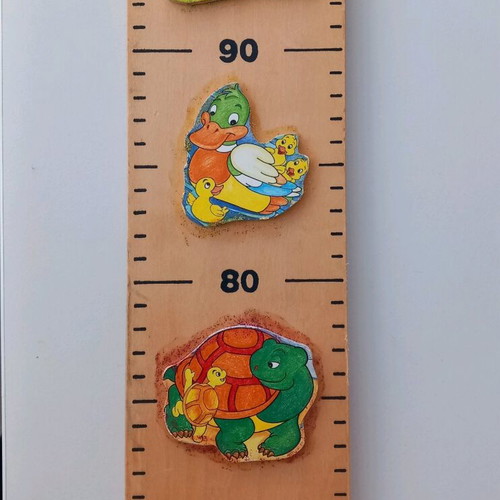 Wooden wall height chart used, natural wood
