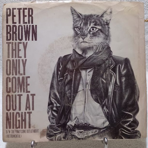 Peter Brown They Only Come Out At Night vinyl used 45 RPM