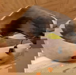  Μαξιλάρι μασάζ με memory foam