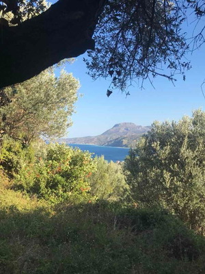 Οικοπεδο