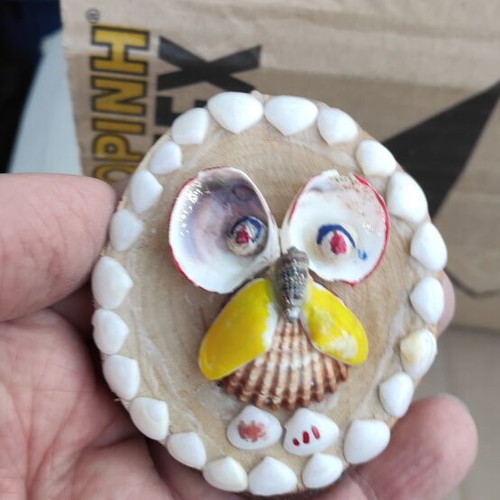 Small table decorations with seashells new