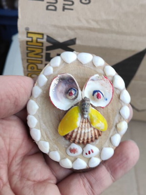 Small table decorations with seashells new