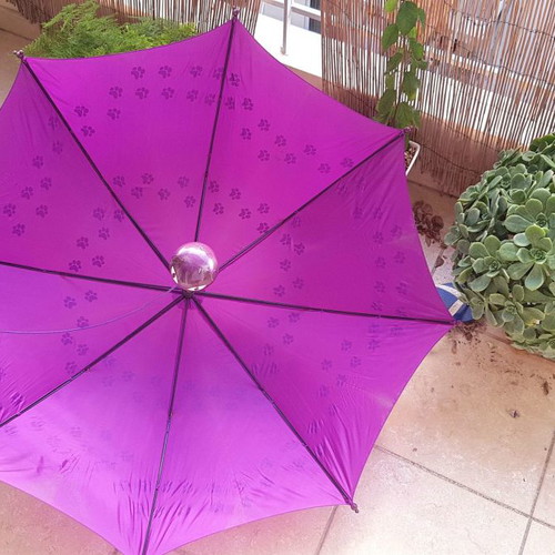 Large umbrella with cat paws print, purple