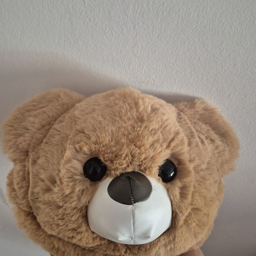 Teddy bear bag like new, brown