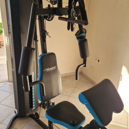 Pegasus JX-DS913 fitness machine like new