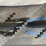  Ποδήλατο  bmx Gt slammer 74